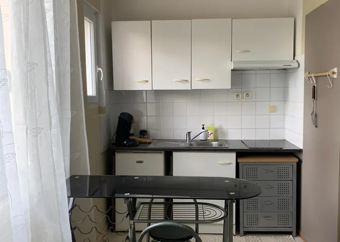 Proche Auditorium Et Centre-ville アパート ディジョン